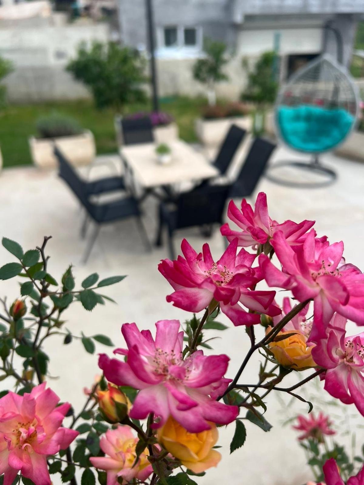 Apartamento Sunny Hill - Parking - Fenced Garden - Luxury Loft Kotor Exterior foto